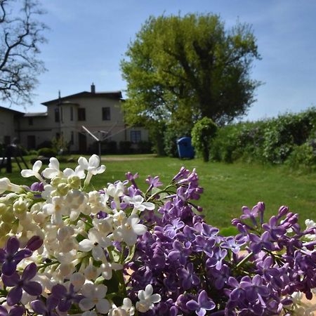"Villa Seeheim" Ferienobjekt Direkt Am Wasser Ovs 692 Gustow  Экстерьер фото